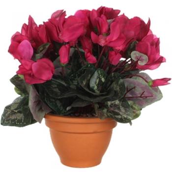 MICA Decorations 947211 Flores, Cyclamen, color rosa