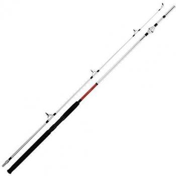 Caña pesca en mar Daiwa Sensor, 2M20