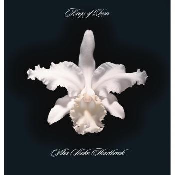 Aha Shake Heartbreak - Deluxe Vinyl Edition (2 LP)