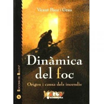Dinàmica del Foc: Origen i causa dels incendis