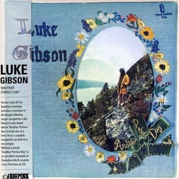 Another Perfect Day - Luke Gibson