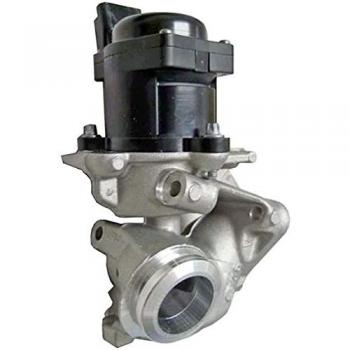 HELLA 6NU 010 171-101 Válvula EGR - 12V - eléctrico - con junta - con abrazadera