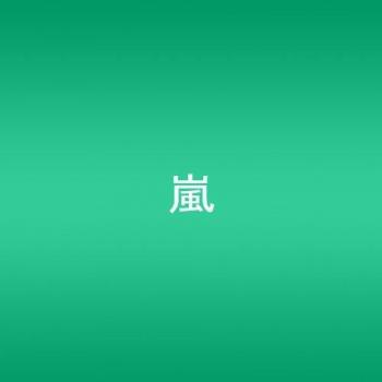 Unknown Person (Single) - Import Edition