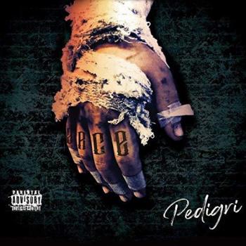 Arce - Pedigrí