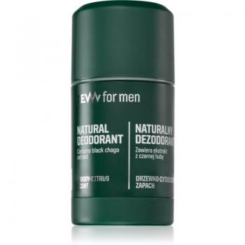 Zew For Men Natural Deodorant Roll-On with Black Chaga 80 g