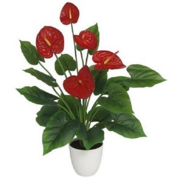 Maceta Anthurium Grande Decorativa 72cm