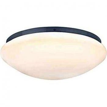 Lámpara de Techo LED Paulmann Leonis IP44 10W 890lm 3000K Ø28cm Blanca