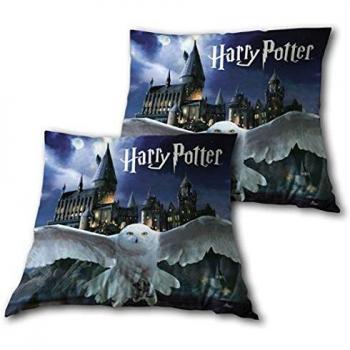 AYMAX - Cojín de Harry Potter Hedwige y Hogwarts