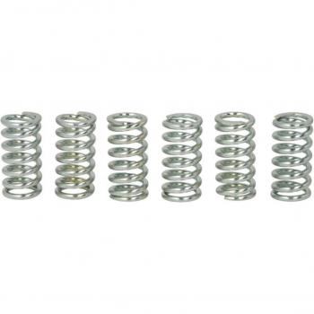 Kit de muelles de embrague TRW MEF109-6 - Sets para Embrague