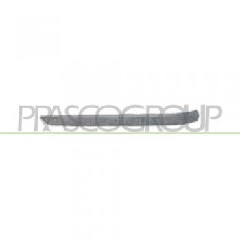 Listón Embellecedor Protector PRASCO para BMW Serie 3 - Panel Lateral y Protector de Parachoques (Ref: BM0181244)