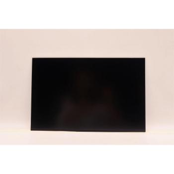 Pantalla Display AUO 14.0 WUXGA AG