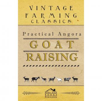 Essential Guide to Angora Goat Farming