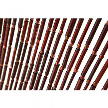 Catral 53010073 - Cortina para Puerta, 1 x 90 x 200 cm, Color Multicolor