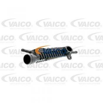 Válvula de ventilación del cárter VAICO V10-2931