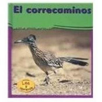 Los Correcaminos