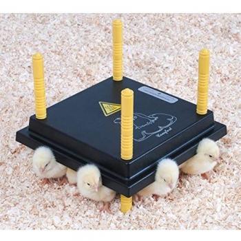 Placa Calefactora Comfort para Pollitos 25x25cm - 15W / 220-240V