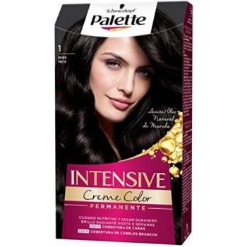 Palette Intense Tinte 1 Negro