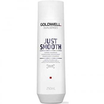Goldwell Dualsenses Just Smooth Taming Shampoo 250ml