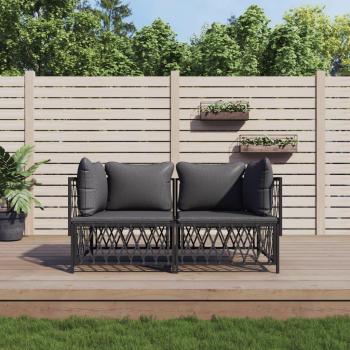 2 Piece Anthracite Steel Garden Lounge Set with Cushions