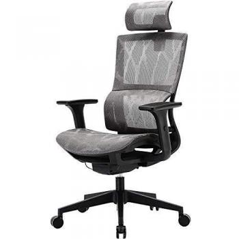 SIHOO Silla de Oficina, Silla ergonómica, Silla de Escritorio con Respaldo Alto, Silla giratoria de Malla, Reposabrazos Ajustable en 3D, Soporte Lumbar elástico único
