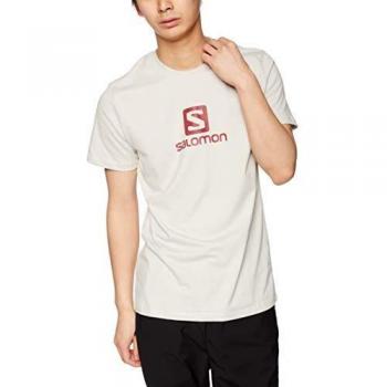 SALOMON Coton Logo SS tee M Camiseta de Manga Corta, Hombre, Gris