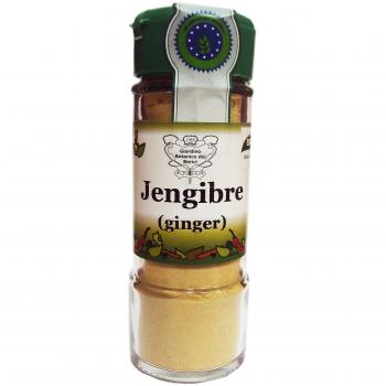 Biocop Condimento Jengibre Polvo Biocop 30 G 300 g