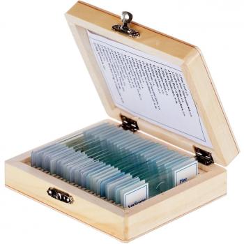 AmScope - 25pc Prepared Glass Microscope Slides in Wood Storage Case - Plant, Fungus, Insect and Mammal Specimens