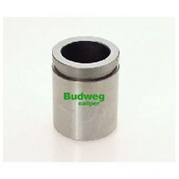Émbolo de pinza de freno Triscan 8170 233843 para Hyundai