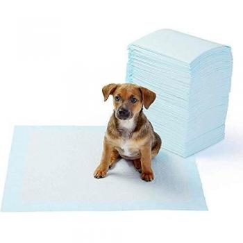 Amazon Basics Almohadillas de adiestramiento de perros y cachorros, diseño de 5 capas a prueba de fugas con superficie de secado rápido, regular, 100 unidades