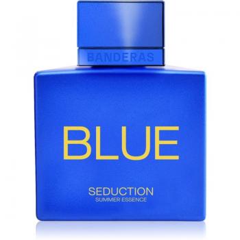 Banderas Blue Seduction Eau de Toilette for Men 100 ml