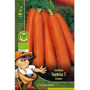 Semillas ecológicas de Zanahoria Nantesa 3
