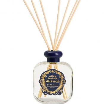 America 250 ml Essential Oil Diffuser