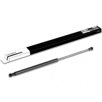 Amortiguador de maletero RIDEX 219G0253 para Renault Laguna III, longitud 495mm, verín hidráulico de hayón