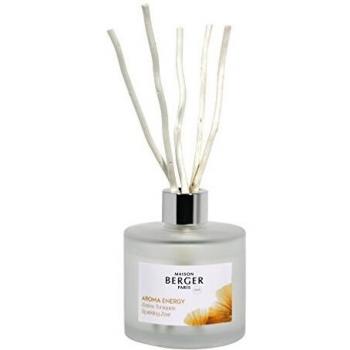Maison Berger Aroma Energy Sparkling Zest Scented Bouquet