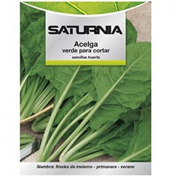 Semillas de Acelga para Huerto SATURNIA