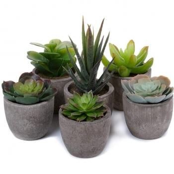 T4U Plantas Suculentas Artificiales,Planta Artificial Decorativa, Plantas Pequeñas Decorativas,Ideal OficinaJardín Balcón Planta Falsa ,Paquete de 6