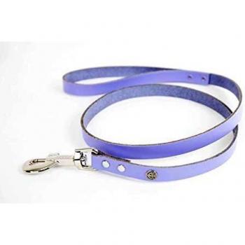 Correa de cuero para perros Martin Sellier Class con collar a juego
