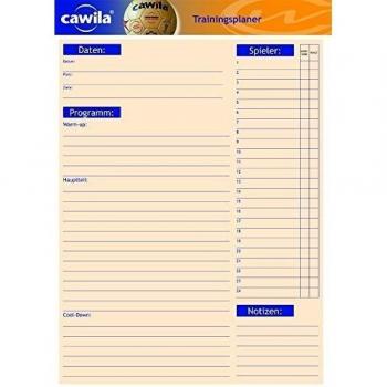Cawila Game Pad Handball - Pelota de balonmano, color blanco, talla 4