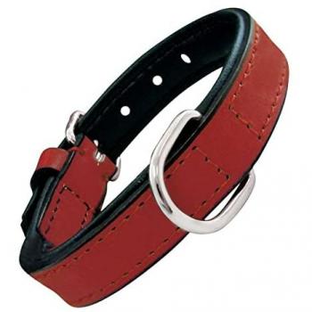Collar para Perro Gloria Acolchado Rojo 35 x 1,5 cm
