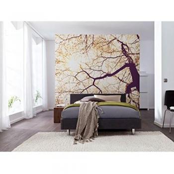 Papel Pintado No Tejido Komar Sunshine 250x250 cm (Ancho x Alto) - Colorido