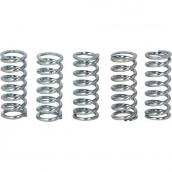 Kit de muelles de embrague TRW MEF142-5 - Juego completo de muelles para sistemas de embrague, compatible con múltiples modelos de vehículos, fabricado por TRW, alta resistencia y durabilidad, diseño optimizado para un