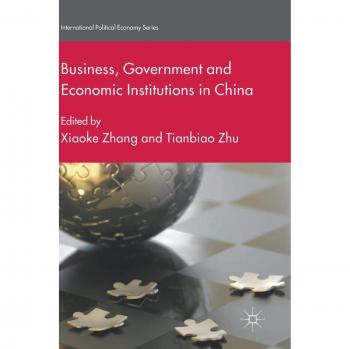 Business, Government and Economic Institutions in China
