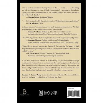 Black Megachurch: Theology, Gender, and Public Engagement (Paperback)