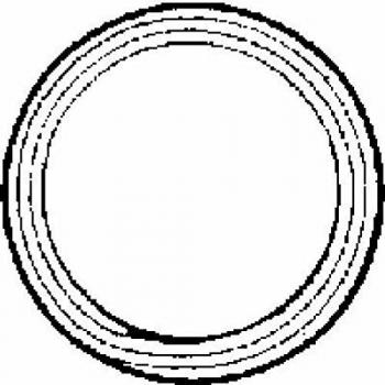 Ajusa 19001800 Junta anular, tubo de escape