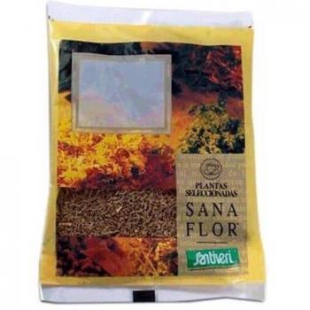 Anís Verde Bolsa 90g Santiveri