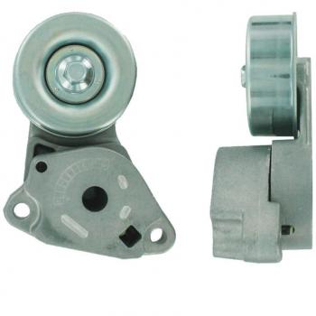 Polea Correa Multiv Skf Vkm 65051