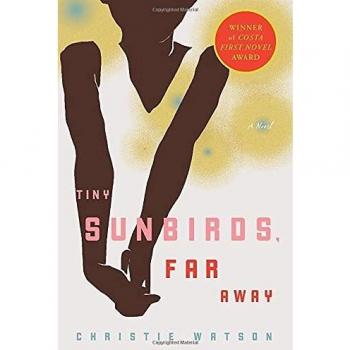 Tiny Sunbirds, Far Away