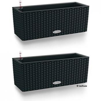 Macetero Lechuza Diamante Premium Completo 40 cm Negro Mate