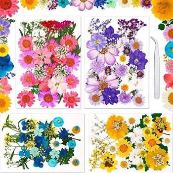 Sirecal True Flores secas prensadas 131 piezas de flores secas naturales Flores secas multicolores para resina, velas de bricolaje, álbumes de recortes, fabricación de colgantes hechos a mano