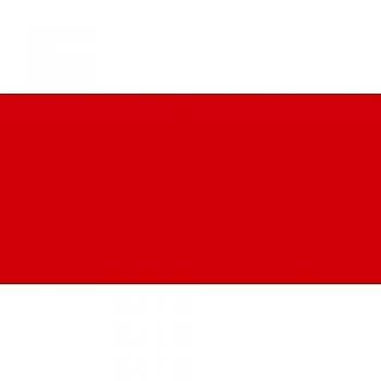 (Primary Red) - 38ml Extra-fine Oil Stick